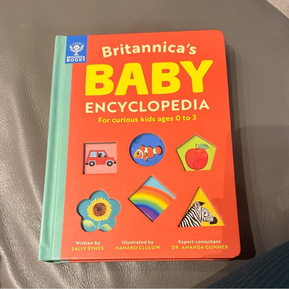 Baby and toddler play toys, books and stuffies - Picture 7 of 7